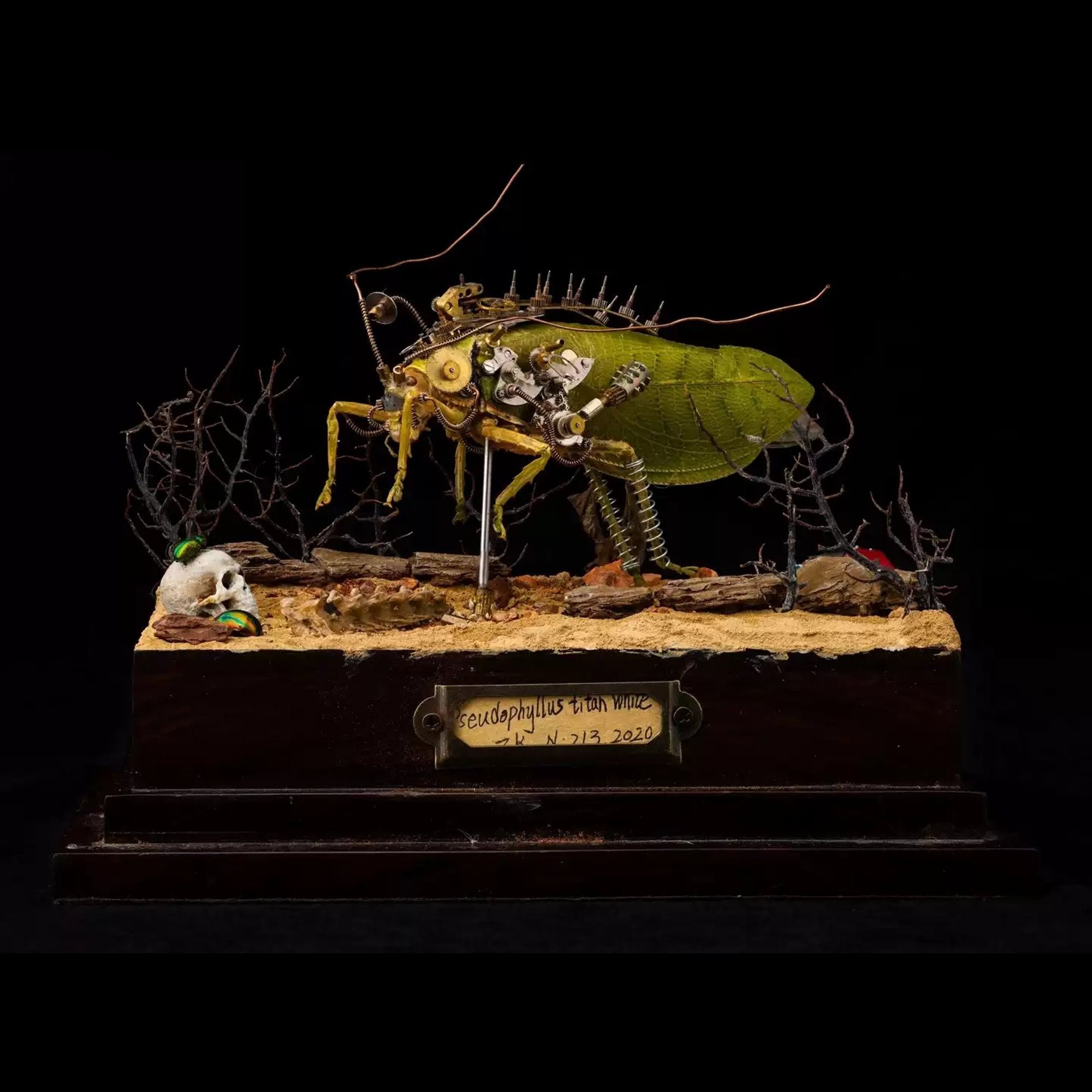 🦋 이타미시 곤충관 (이타미시 콘추칸) 이미지 6